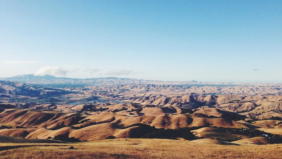 Ayawaso East NDC Primary Under Scrutiny Following High-Profile Vote-Buying Allegations and Diplomatic Recall