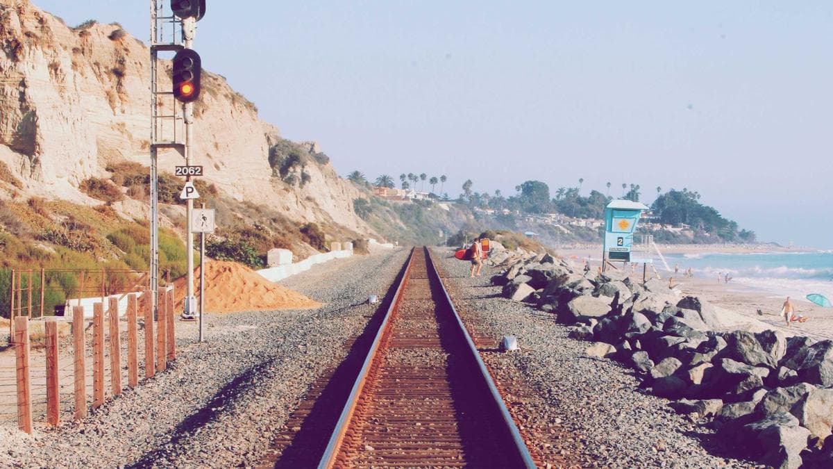 Humpback Whale Freed in Baltic Sea as Middle East Port Attacks Raise Security Concerns