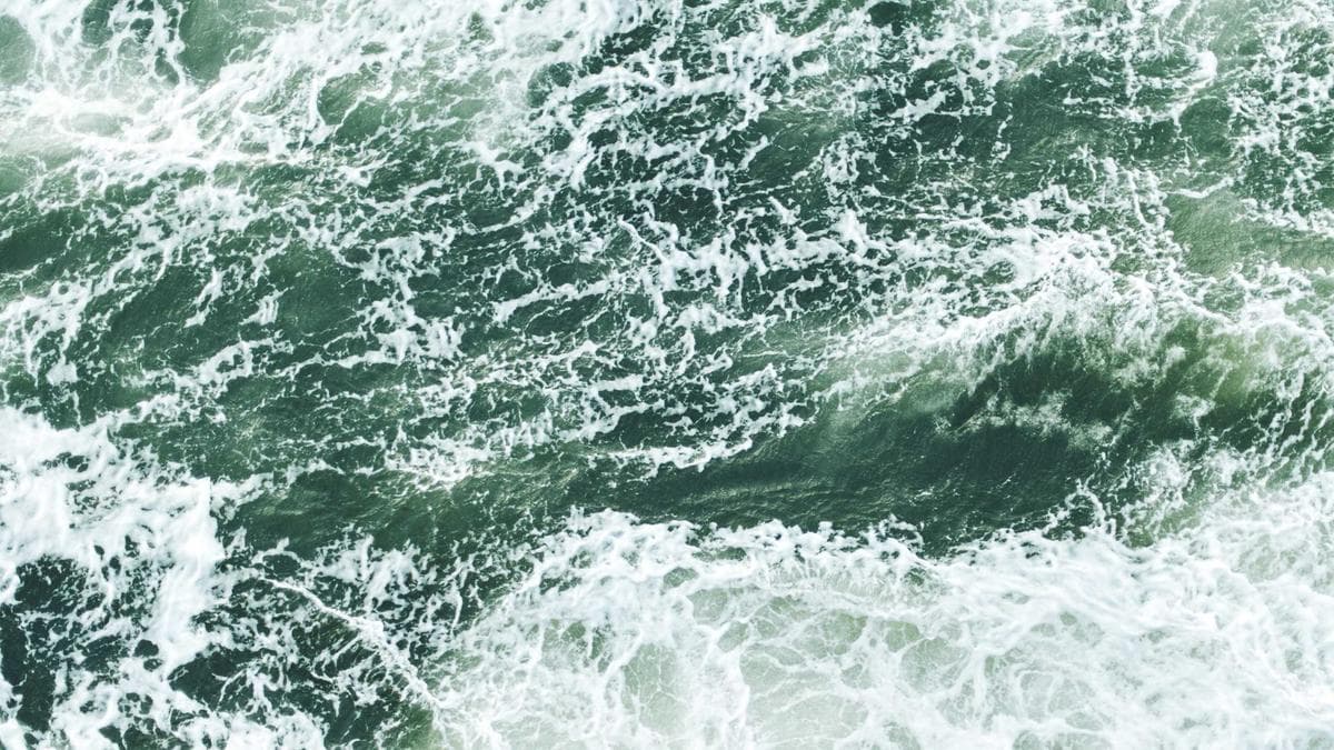 Legal Action and Farmer Unrest Intensify Pressure on COCOBOD Leadership Over Asset Declaration Failures