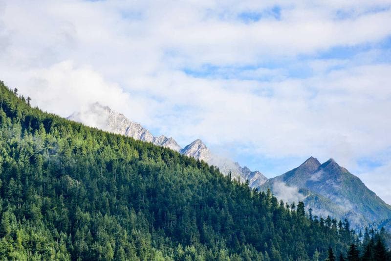 Global Energy Volatility Drives Price Adjustments and Safety Reforms in Ghana's Petroleum Sector