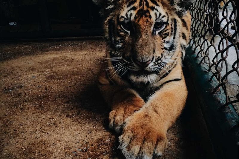 15 Years of Deceit: Ghanaian Woman Shares Struggle with Husband’s Financial Betrayal