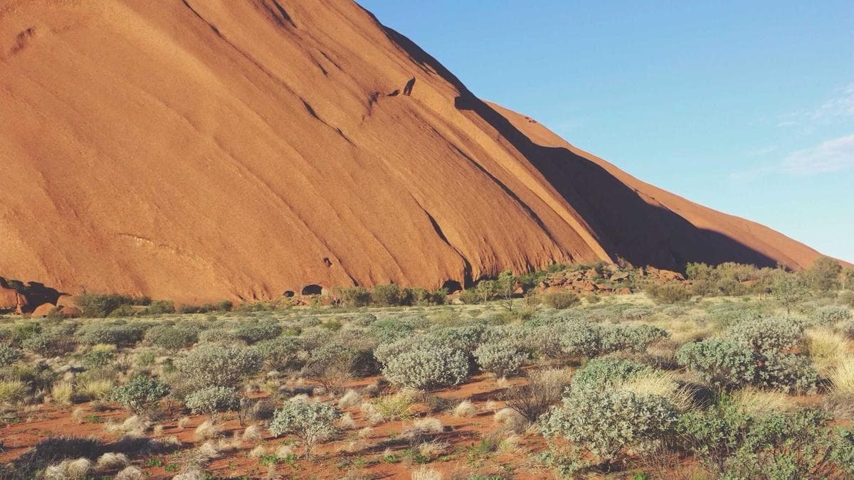 Empowering Through Dignity: Grey Launches Inaugural Educational Support Initiative at EFFISCO