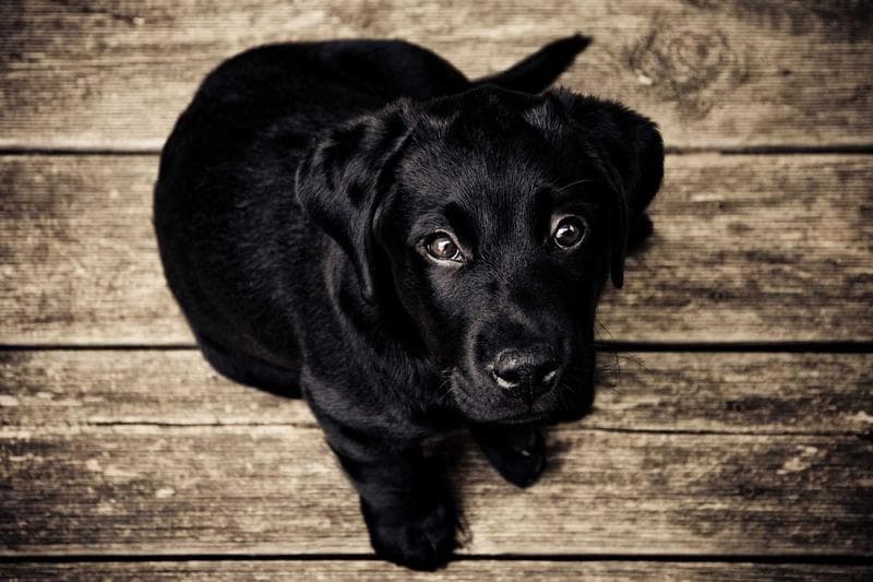 Francis Owusu, Founder of Christ Upper Room Church, Granted GH¢100,000 Bail for Careless Driving