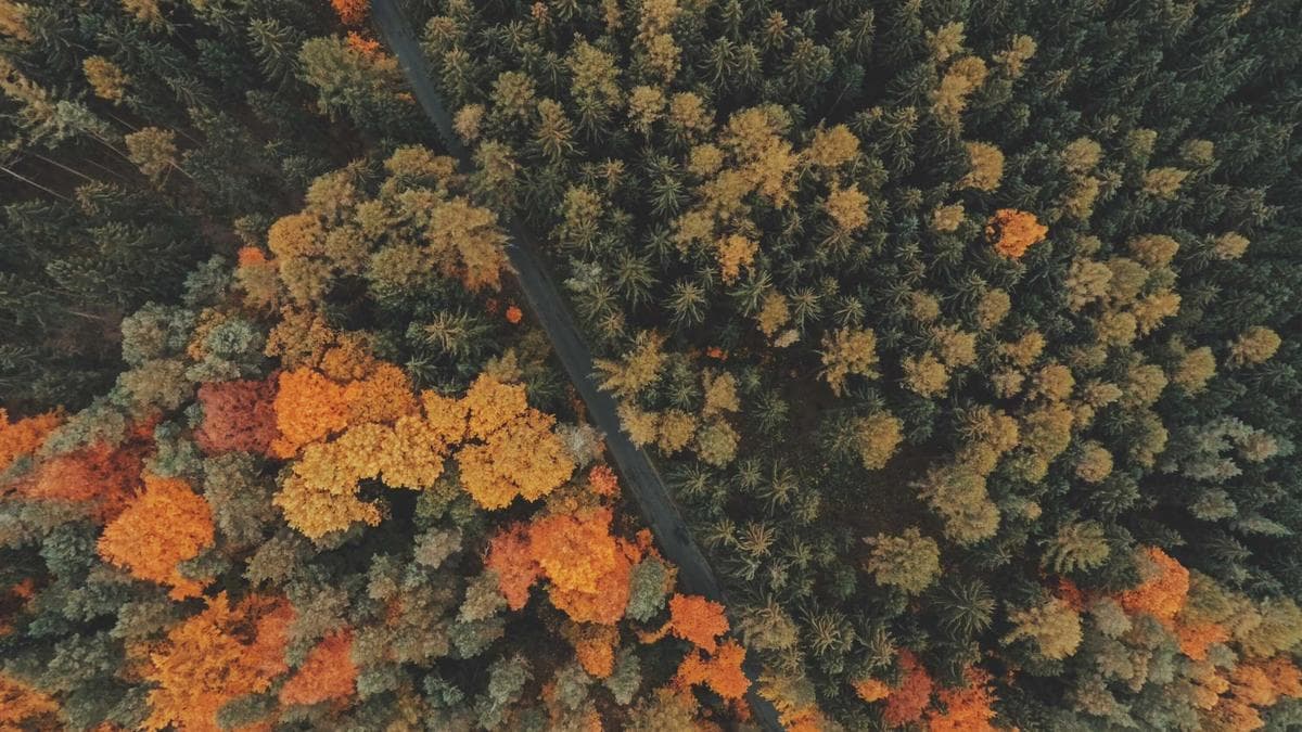 Sarkodie Eyes Global Sporting Stages Following Sold-Out Milestone at Royal Albert Hall