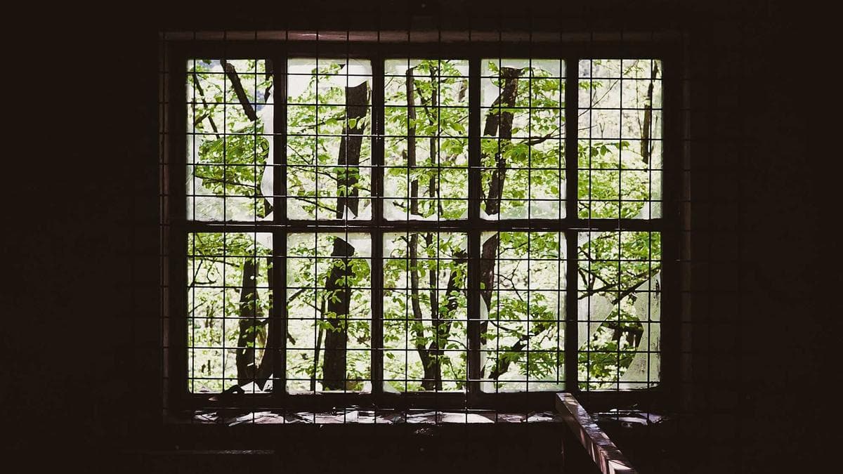 Ghana News Roundup: Diplomatic Push for Slave Trade Justice, Crime Investigations, and Severe Storm Damage