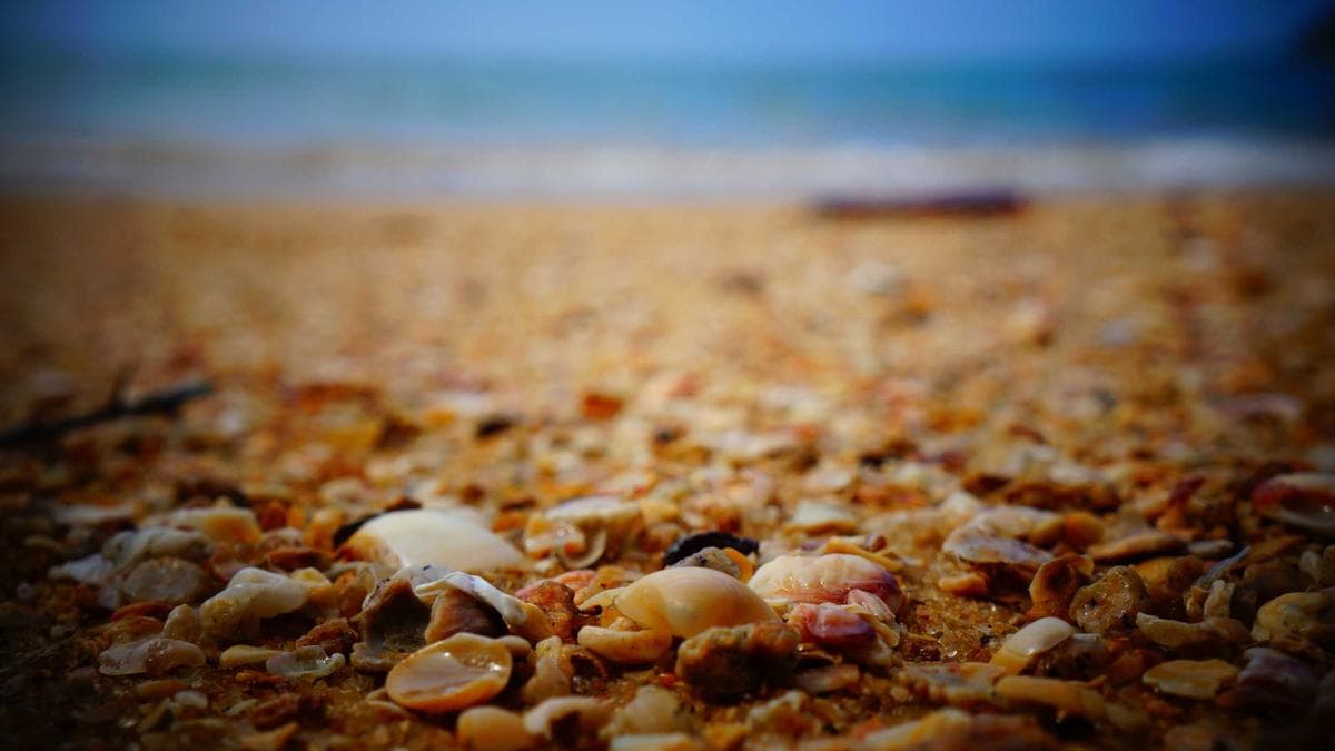 Ghana's Economic Shift: 24-Hour Economy Bill Passes Amid Local Farming Crisis and Global Retail Restructuring