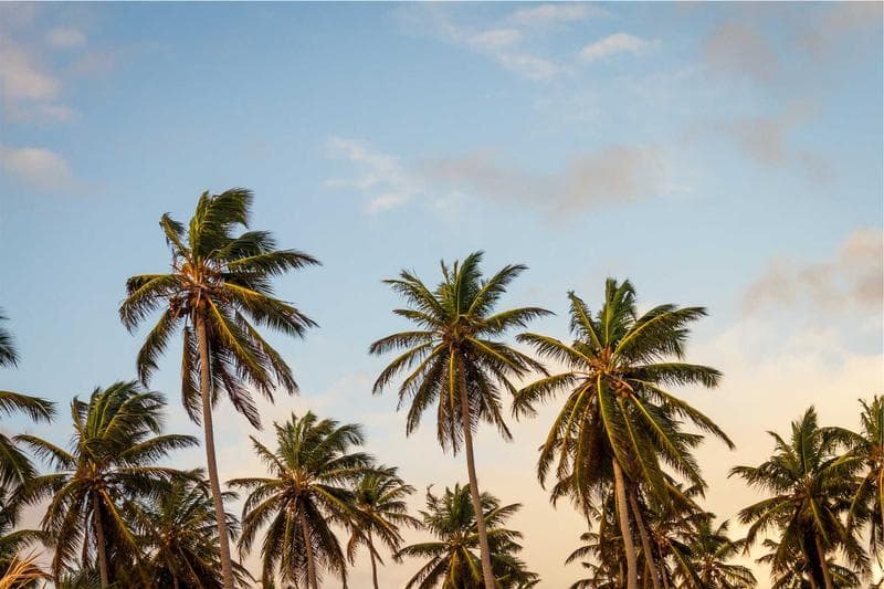 Ghana Bolsters Industrial Sector with $700 Million Petrochemical Deal and New Tema Industrial Park