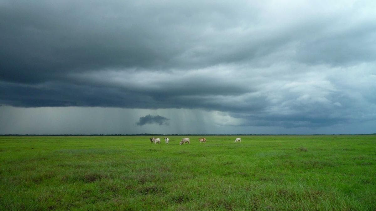 Government Interventions Drive Agricultural Growth in Upper East Region
