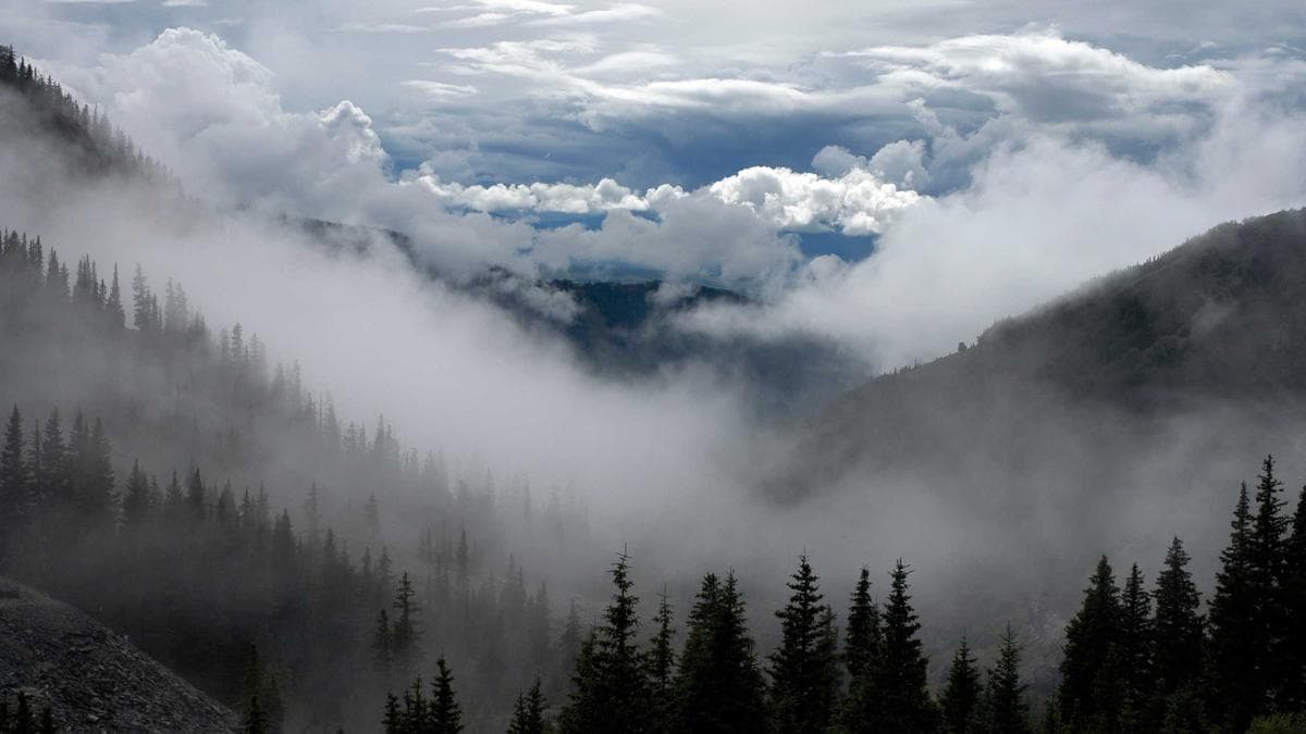 Kumawu MP Offers Support to Families Affected by Fatal Road Accident