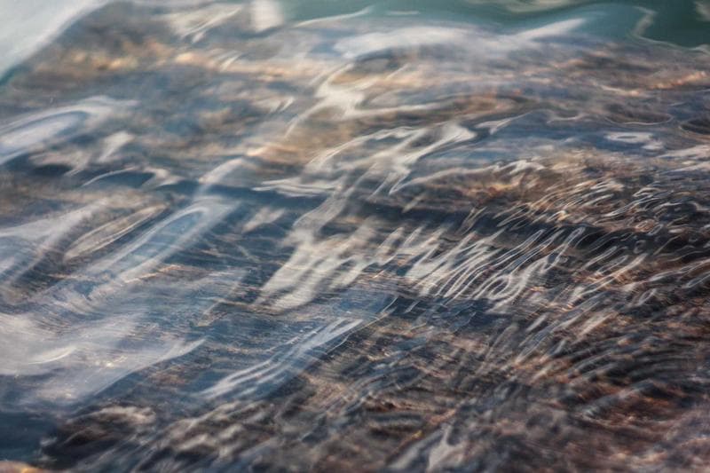 National Infrastructure and Safety Roundup: Power Upgrades and Fatal Accidents Highlight Regulatory Challenges