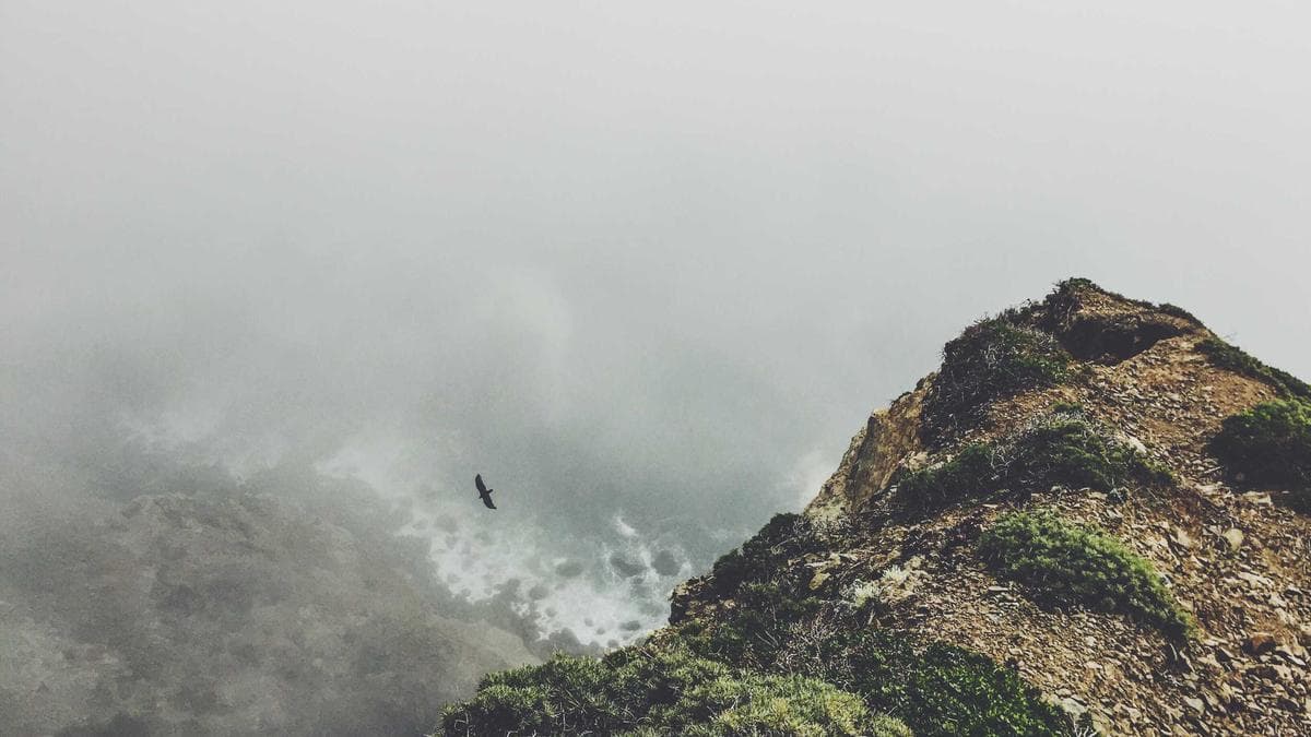 Tiger Woods to Step Away from Golf for Treatment Following Florida DUI Arrest