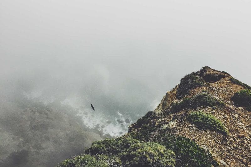 Tiger Woods to Step Away from Golf for Treatment Following Florida DUI Arrest