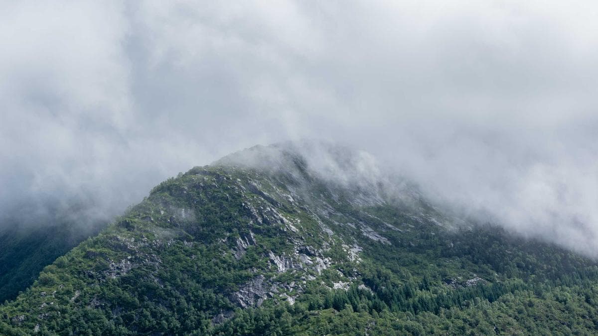 Antoine Semenyo Shatters Records: Becomes Highest-Scoring Ghanaian in a Single Premier League Season