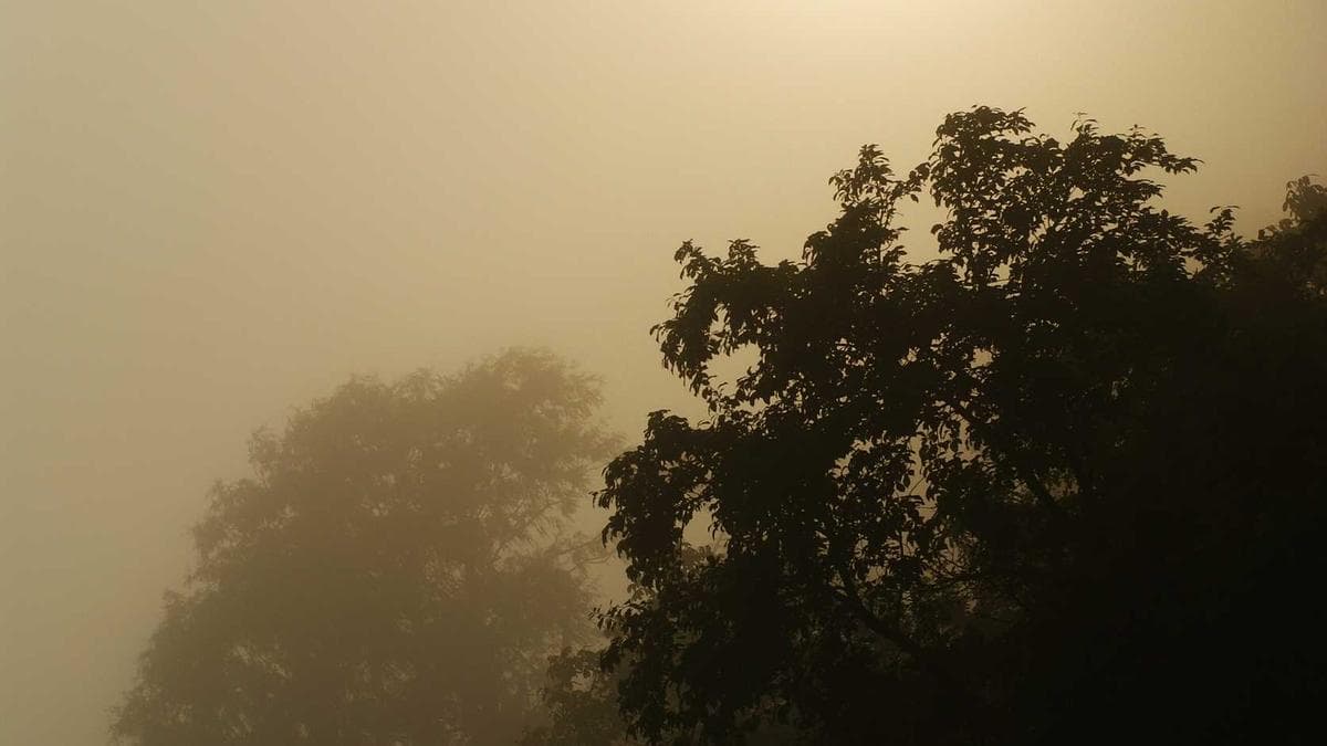 African Music Milestones: Samini’s ORIGIN8A Debuts in Ghana Top 10 as Tems Makes Billboard History