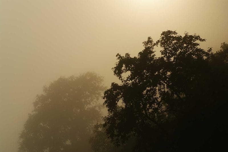 African Music Milestones: Samini’s ORIGIN8A Debuts in Ghana Top 10 as Tems Makes Billboard History