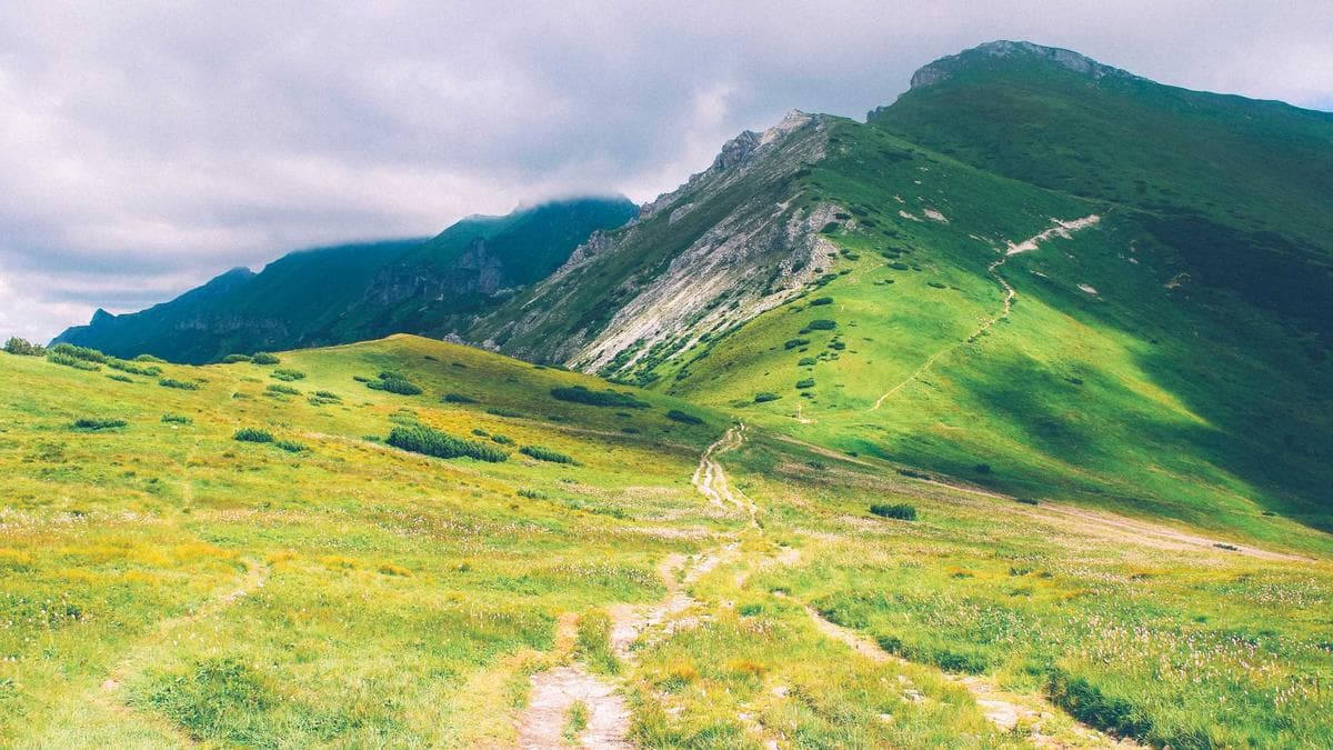 Nottingham Forest Dismisses Sean Dyche After 114 Days Amid Relegation Fears