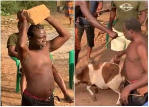 A split-screen photograph showing a shirtless middle-aged man being subjected to public humiliation or punishment. On the left, he is seen holding a large brick or heavy stone over his head, while the right side shows him standing next to a brown and white sheep held by a rope.