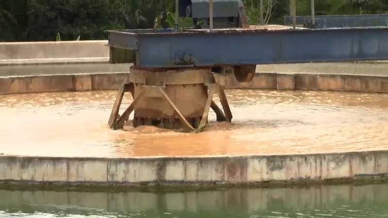 Africa Environmental Outlook 2025: Ghana Shows Progress in Air Quality and Coastal Restoration Amidst Growing Water and Pollution Crises