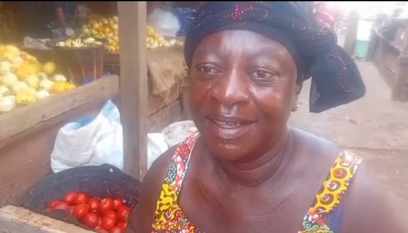 Ghana’s Agricultural Sector at a Crossroads: Cocoa Shortfalls and Tomato Supply Volatility Prompt Shift Toward Agribusiness