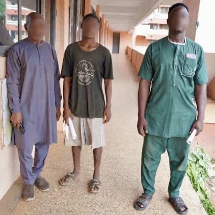 The suspects