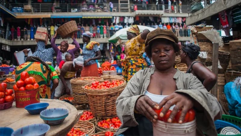 Bank of Ghana Injects $2.01 Billion to Stabilise Cedi as July Inflation Forecast Eases Below 5%