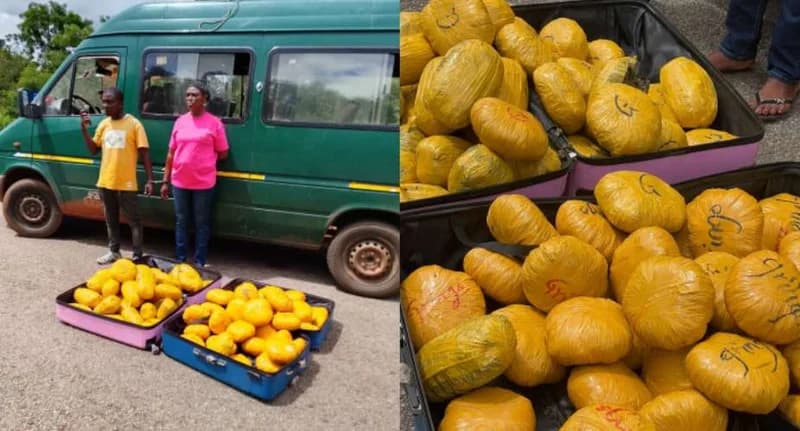 Bole District Police Seize 73 Cannabis Parcels and Reject GH¢300,000 Bribe