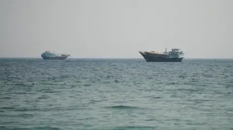Reuters Vessels in the Strait of Hormuz, as seen from Oman's coast. Photo: 12 July 2026