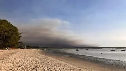 Jo Kent/BBC Dark smoke can be seen on the skyline from the beach