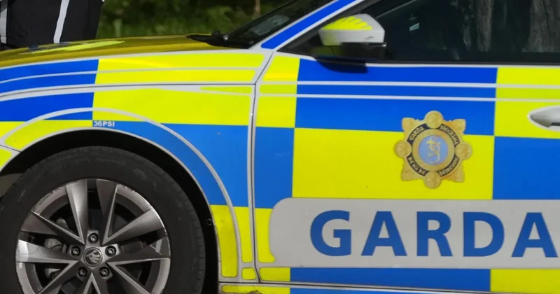 Fatal Collision in County Cavan Claims Life of Woman and Leaves Young Girl in Critical Condition