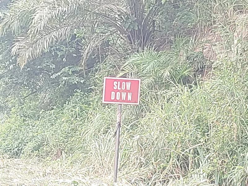 Nintin and Hwidiem Residents Mobilize for Road Safety on Mampong Scarp After Recent Fatalities