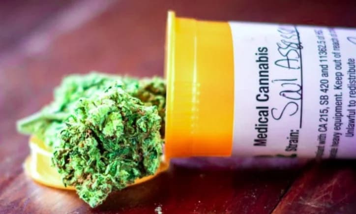 NACOC grants first licences for medicinal cannabis cultivation to two companies