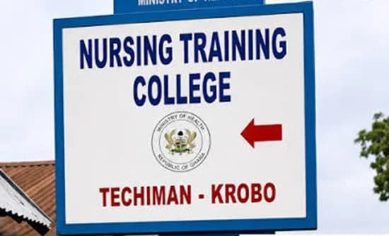 Health Ministry Appoints Professor Vida Nyagre Yekong to Lead Probe into Techiman-Krobo Nursing College Unrest