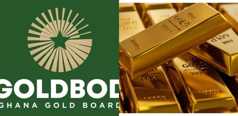 IMF Directs Bank of Ghana to End Gold Purchase Operations Following GH¢22 Billion Loss and Negative Equity Risks