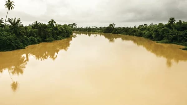 Galamsey destroys 60% of rivers - Scientists raise alarm over implications