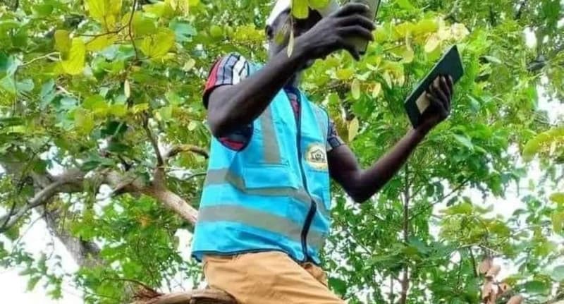 Nwawasua Residents Scale Trees and Mountains in Desperate Search for Telecommunications Signal