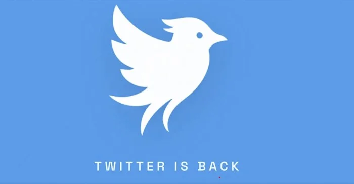Former Twitter Lawyer Stephen Coates Launches Twitter.now, Challenging X Over 'Abandoned' Branding