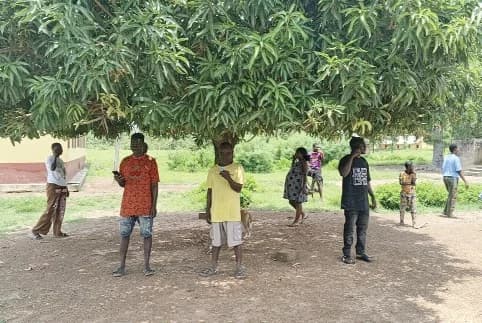 Residents have to gather under the mango tree for mobile network signal