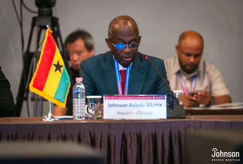 Johnson Asiedu Nketiah, National Chairman of the NDC
