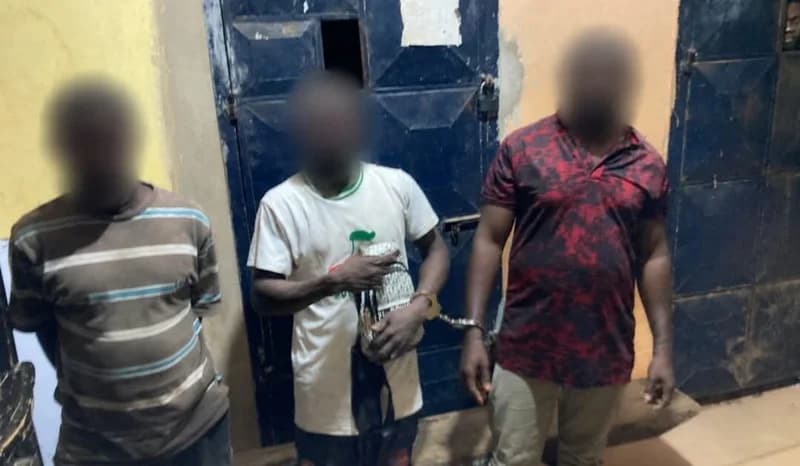 Oti Regional Police Intercept 5,164 Parcels of Suspected Narcotics in Major Intelligence-Led Operation