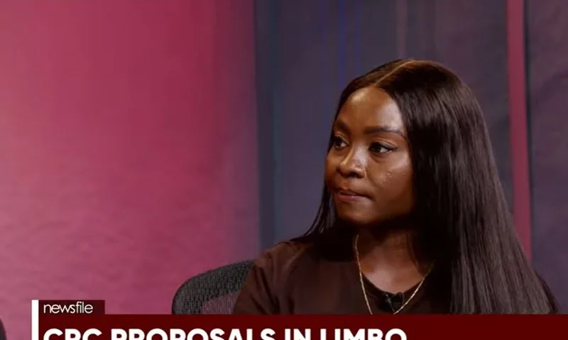 A woman appears as a guest on the Ghanaian current affairs program 'Newsfile'. She is seen looking attentively during a discussion on constitutional reforms, with a news banner at the bottom of the screen reading 'CRC PROPOSALS IN LIMBO'.