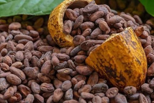 A close-up photograph of a pile of dried cocoa beans with a split yellow cocoa pod in the center. The image highlights the primary agricultural commodity of Ghana, showing the raw beans ready for processing.