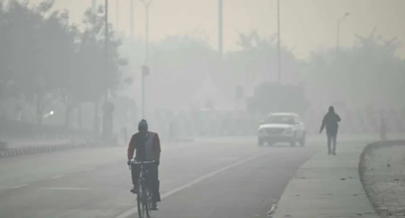 EU Monitor Reports One-Third of Global Population Exposed to Dangerous Ozone Levels Driven by Heatwaves and Wildfires
