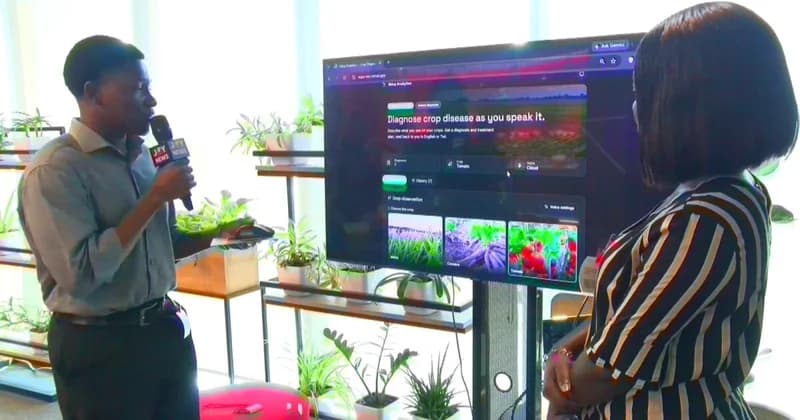 Researcher Essel-Biney Launches Ndua Analytics AI Tool to Help Farmers Identify Crop Threats