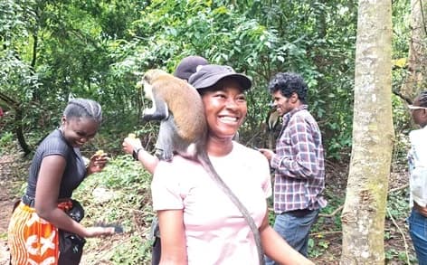 Visitors to the Tafi-Atome Monkey Sanctuary interact with the excited monkeysVisitors to the Tafi-Atome Monkey Sanctuary interact with the excited monkeys