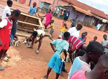 Pet owners with their pets in a queue for the anti-rabies vaccine