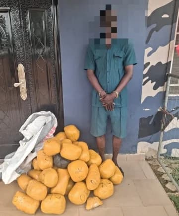 A man in handcuffs, with his face blurred, stands next to a large pile of yellow tape-wrapped parcels. The parcels, which appear to be the suspected cannabis mentioned in the news report, are stacked on the ground next to a white sack in front of a blue building wall.