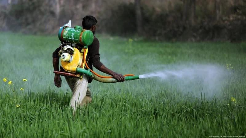 Researchers link neonicotinoid insecticides to 27% drop in sperm concentration