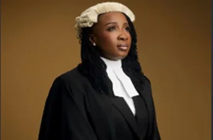 Ghanaian media personality Naa Ashorkor is seen posing in her legal regalia, wearing a traditional barrister's wig and black gown. She is looking slightly off-camera with a focused expression against a solid brown background.