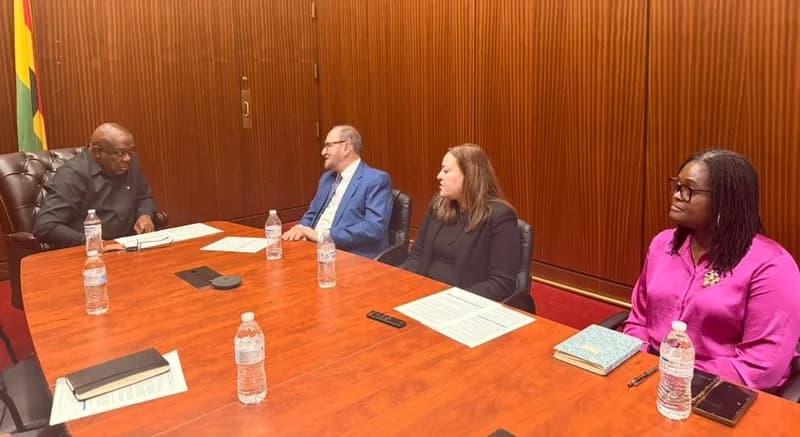 A group of officials and delegates are seated around a large wooden conference table for a formal meeting in a wood-paneled room. The Ghana flag is visible in the background as a man in black attire discusses documents with three visitors, including a man in a blue suit and a woman in a pink blouse. This gathering appears to be a consultation or planning session for a national healthcare initiative.
