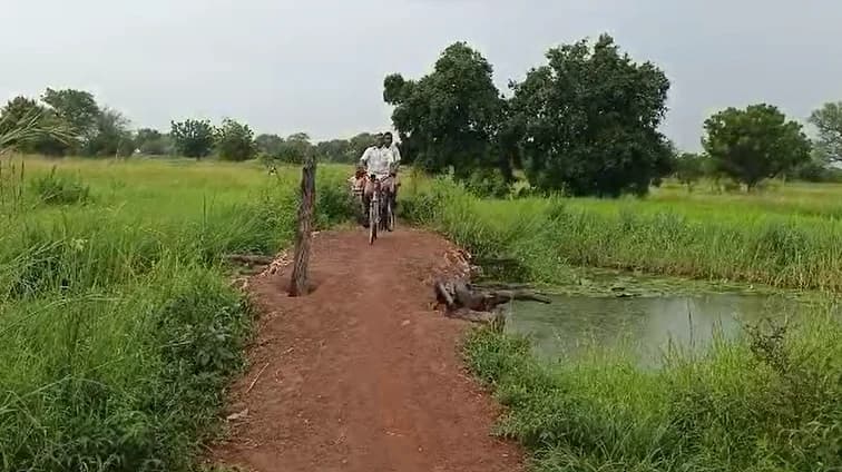 Two people are seen crossing a narrow, improvised dirt path over a small body of water in a lush, rural landscape. One person is riding a bicycle across the precarious-looking culvert, which is surrounded by tall green grass and trees under a cloudy sky. This scene highlights the infrastructure challenges faced by residents in the Nadowli-Kaleo district.